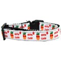 Mirage Pet Products Aloha Cutie Nylon Ribbon Dog Collar Extra Large 125-189 XL